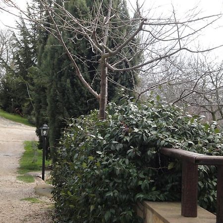 Agriturismo Le Valli Hotel Acuto Luaran gambar
