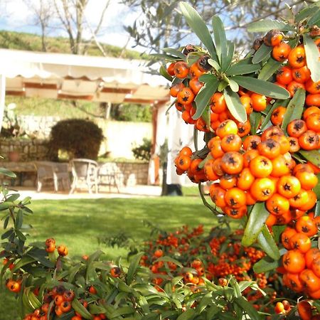 Agriturismo Le Valli Hotel Acuto Luaran gambar