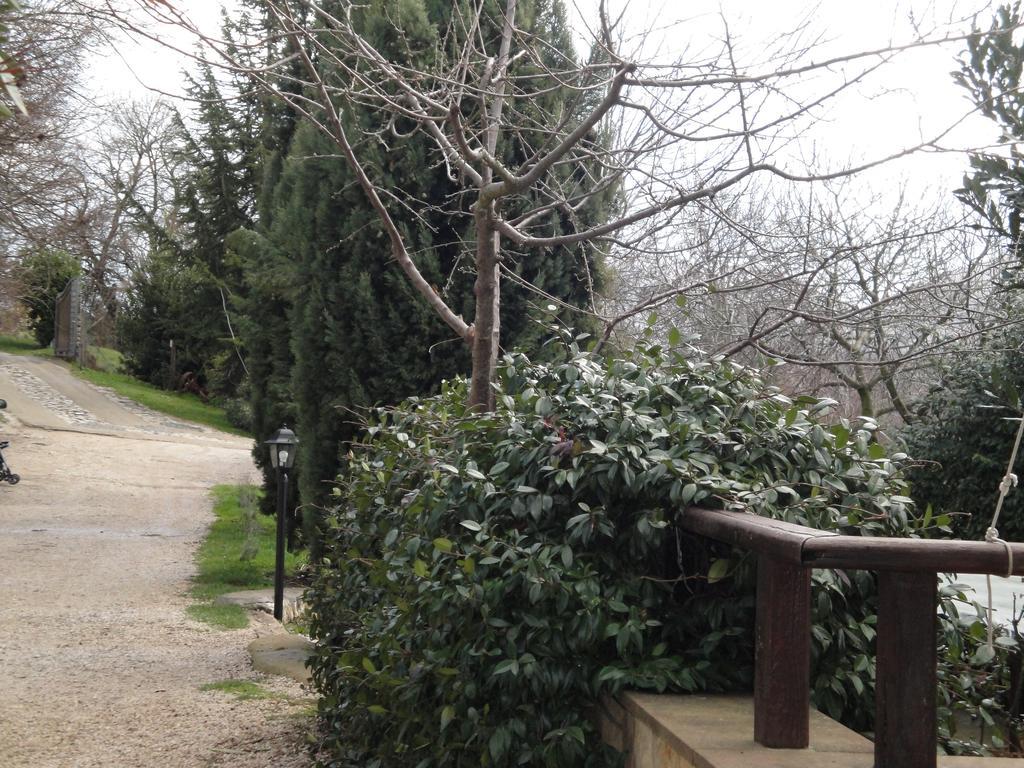 Agriturismo Le Valli Hotel Acuto Luaran gambar