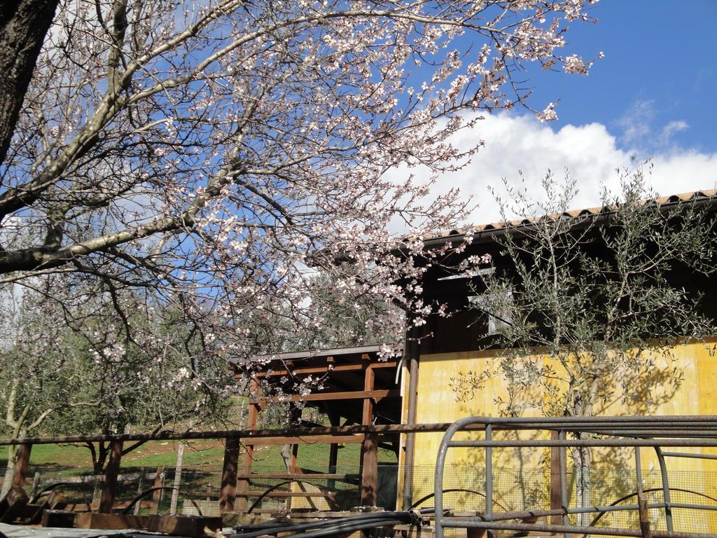 Agriturismo Le Valli Hotel Acuto Luaran gambar